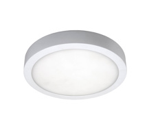 MOON CCT 300mm - 24W - white - surface mounted -IP54